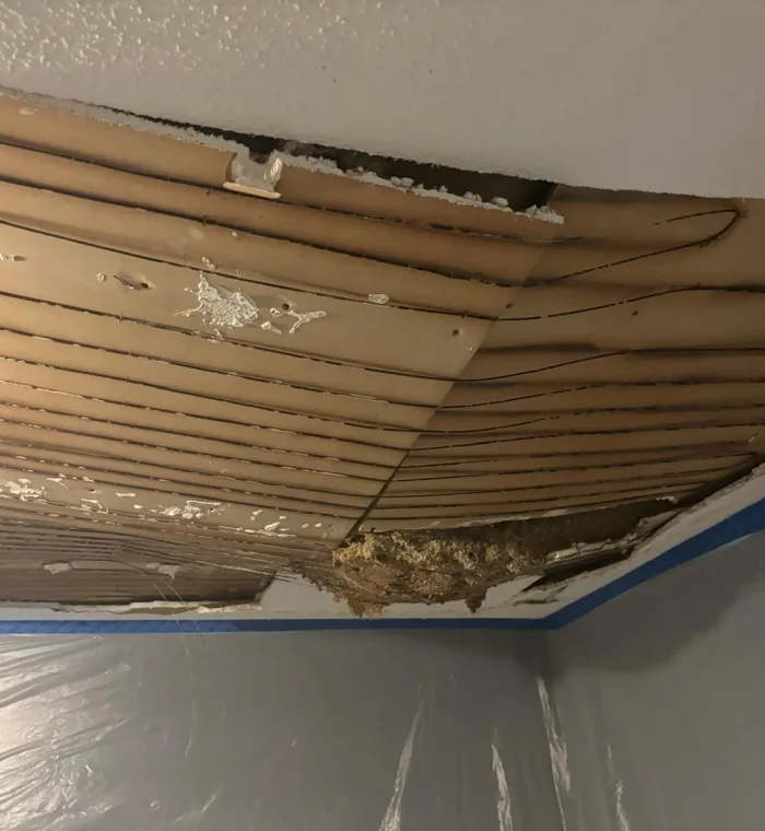 df-enterprise-nc-drywall-repair-in-morrisville-nc